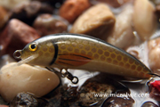 Hornet45 Rudd