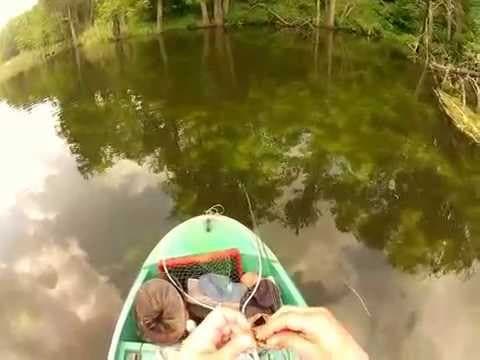 On the bench with Microbait